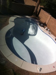 plaster complete