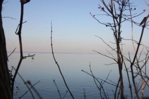 IMG_3571