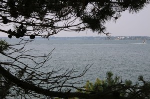 IMG_0155
