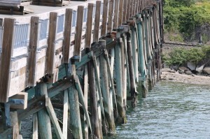 IMG_9978