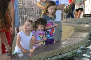 IMG_7888