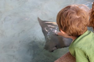 IMG_7928